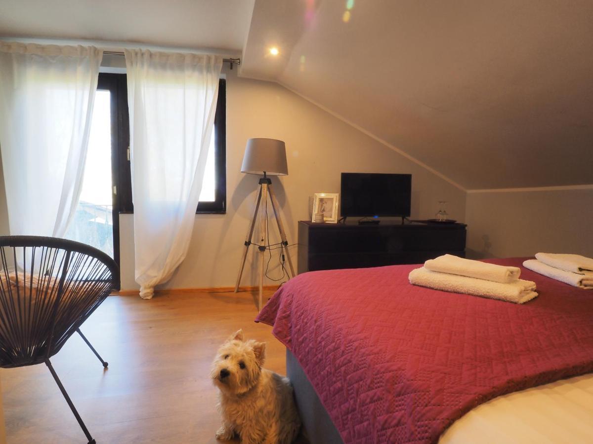 Guest house Sara Latin Extérieur photo